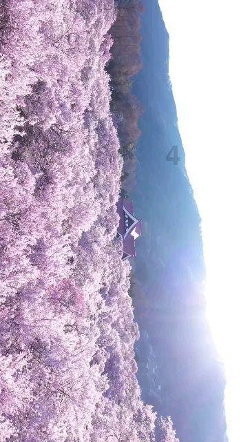 洛克王国