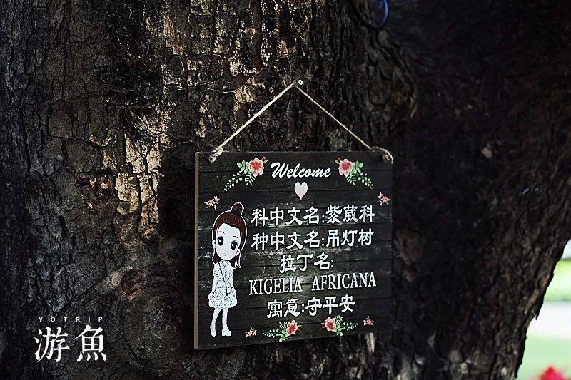 拯救树精灵